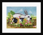 Rabbit and Guinea Pig, 1998 by E.B. Watts