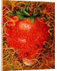 Strawberry in Straw, 1998 by E.B. Watts