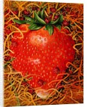 Strawberry in Straw, 1998 by E.B. Watts