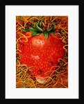 Strawberry in Straw, 1998 by E.B. Watts