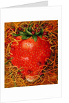Strawberry in Straw, 1998 by E.B. Watts
