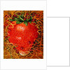 Strawberry in Straw, 1998 by E.B. Watts