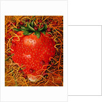 Strawberry in Straw, 1998 by E.B. Watts