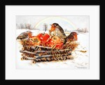 Robins with Apples, 1997 by E.B. Watts
