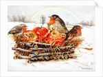 Robins with Apples, 1997 by E.B. Watts