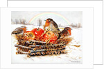 Robins with Apples, 1997 by E.B. Watts