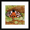 Tiger Moth, 1999 by E.B. Watts