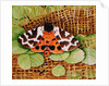 Tiger Moth, 1999 by E.B. Watts
