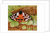 Tiger Moth, 1999 by E.B. Watts