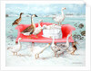 Geese on Pink Sofa, 2000 by E.B. Watts