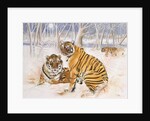 Tigers in the Snow, 2005 by E.B. Watts