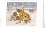 Tigers in the Snow, 2005 by E.B. Watts