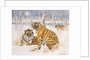 Tigers in the Snow, 2005 by E.B. Watts