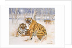 Tigers in the Snow, 2005 by E.B. Watts