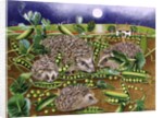 Hedgehogs with Peas beside a Poppy field at night, 1994 by E.B. Watts
