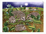 Hedgehogs with Peas beside a Poppy field at night, 1994 by E.B. Watts