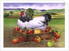 Hen in a Box of Apples, 1990 by E.B. Watts