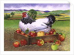 Hen in a Box of Apples, 1990 by E.B. Watts
