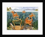 Crabs in the Ocean, 1997 by E.B. Watts