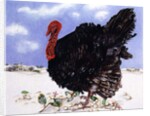 Black Turkey with Snow Berries, 1996 by E.B. Watts
