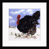 Black Turkey with Snow Berries, 1996 by E.B. Watts