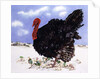 Black Turkey with Snow Berries, 1996 by E.B. Watts