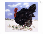 Black Turkey with Snow Berries, 1996 by E.B. Watts