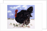 Black Turkey with Snow Berries, 1996 by E.B. Watts