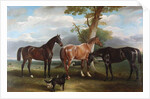 The 6th Duke's favourite hunters and dogs, 1857 by John E. Ferneley