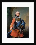 Prince Ferdinand, Duke of Brunswick-Luneburg, 1759 by Johann Georg Ziesenis