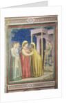 The Visitation, c.1305 by Giotto