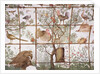 The antechamber of the 'Studiolo' of Francesco de'Medici detail of decoration depicting birds in a garden pergola, 1564-75 by Nanni di B. Bigio & Bartolomeo Ammannati