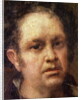 Self Portrait at the Age of 69, c.1815 by Francisco Jose de Goya y Lucientes
