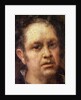 Self Portrait at the Age of 69, c.1815 by Francisco Jose de Goya y Lucientes