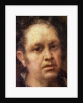 Self Portrait at the Age of 69, c.1815 by Francisco Jose de Goya y Lucientes