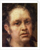 Self Portrait at the Age of 69, c.1815 by Francisco Jose de Goya y Lucientes