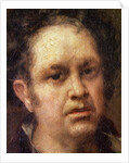 Self Portrait at the Age of 69, c.1815 by Francisco Jose de Goya y Lucientes