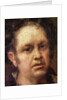 Self Portrait at the Age of 69, c.1815 by Francisco Jose de Goya y Lucientes