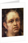 Self Portrait at the Age of 69, c.1815 by Francisco Jose de Goya y Lucientes