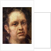 Self Portrait at the Age of 69, c.1815 by Francisco Jose de Goya y Lucientes