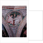 Original Sin by Bernardino Luini