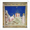 Joachim's Sacrifice, c.1305 by Giotto