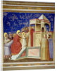 The Presentation of the Virgin at the Temple, c.1305 by Giotto