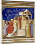 The Presentation of the Virgin at the Temple, c.1305 by Giotto