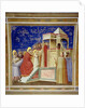 The Presentation of the Virgin at the Temple, c.1305 by Giotto