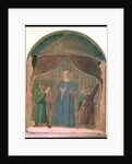 The Madonna del Parto, c.1460 by Piero della Francesca