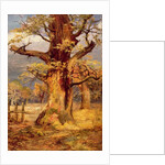 Blasted Oak, Galloway by James Jnr Faed