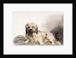 The Artist's Dog, c.1860 by John Adam P. Houston
