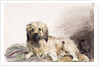 The Artist's Dog, c.1860 by John Adam P. Houston