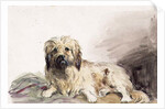 The Artist's Dog, c.1860 by John Adam P. Houston